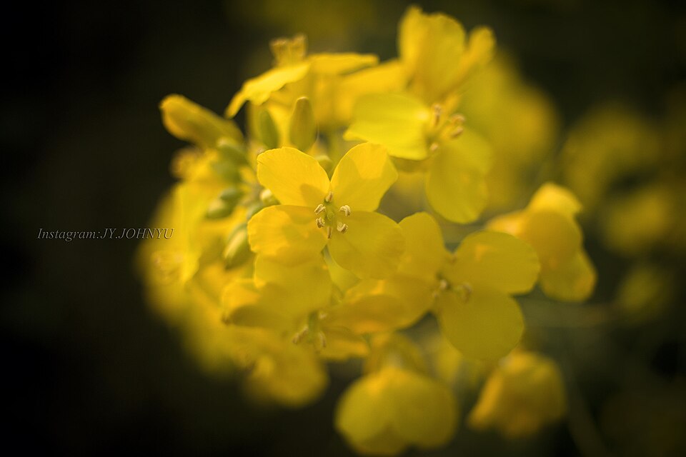 二十四节气
